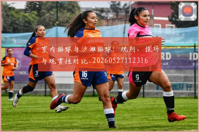 室内排球与沙滩排球：规则、技巧与观赏性对比_20260527112316