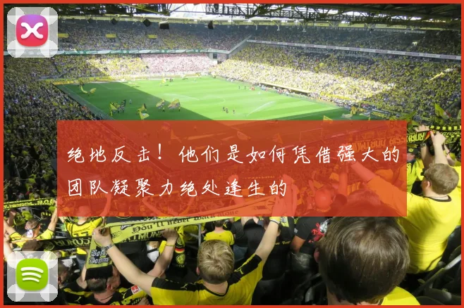 绝地反击!他们是如何凭借强大的团队凝聚力绝处逢生的