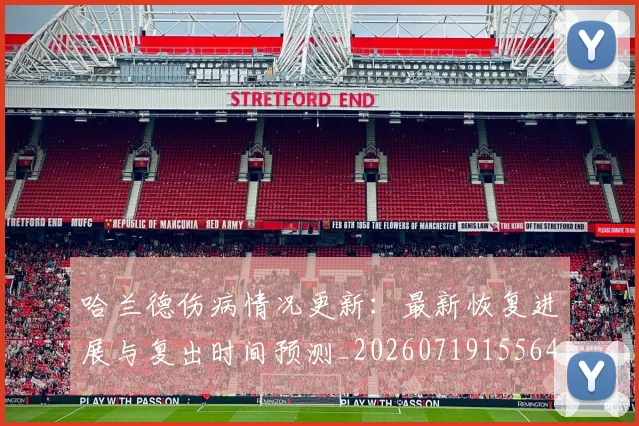 哈兰德伤病情况更新：最新恢复进展与复出时间预测_20260719155645